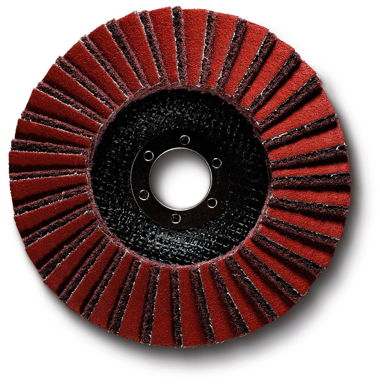 Fächerschleifscheibe