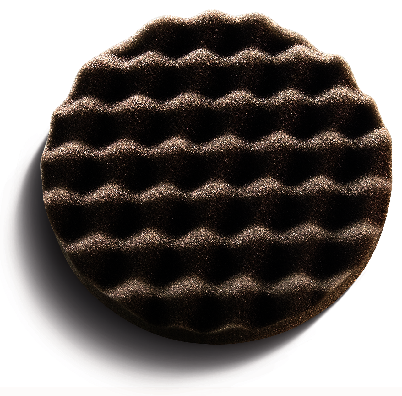 Waffelschwamm