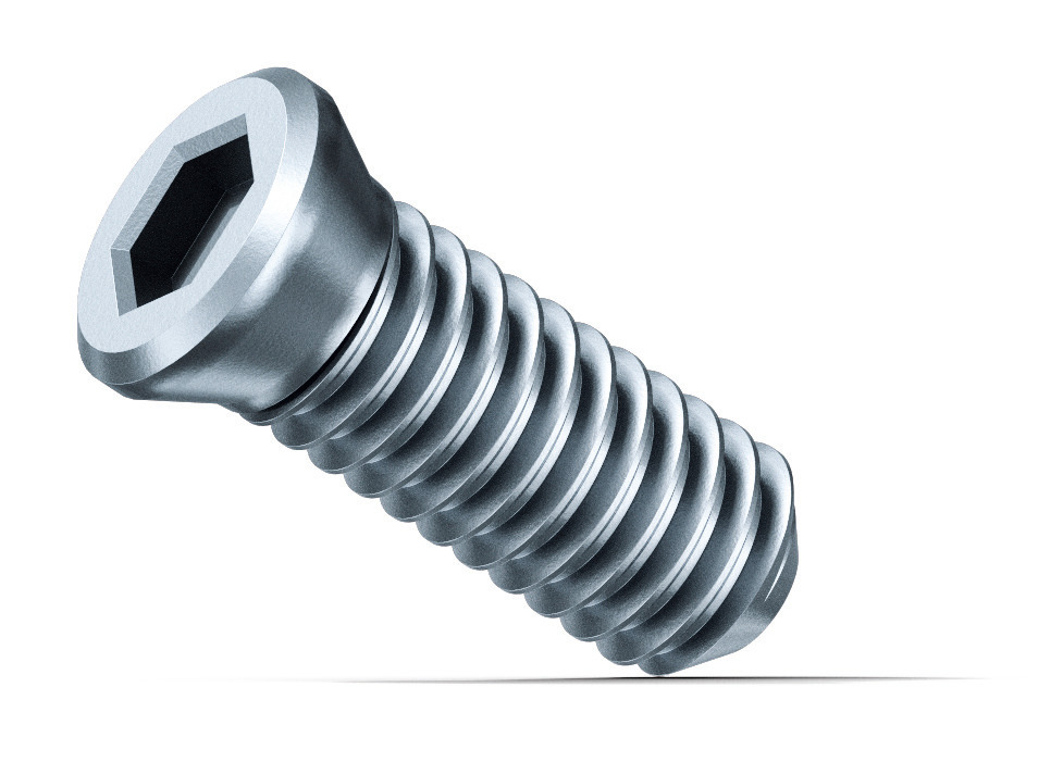 SX clamping screw
