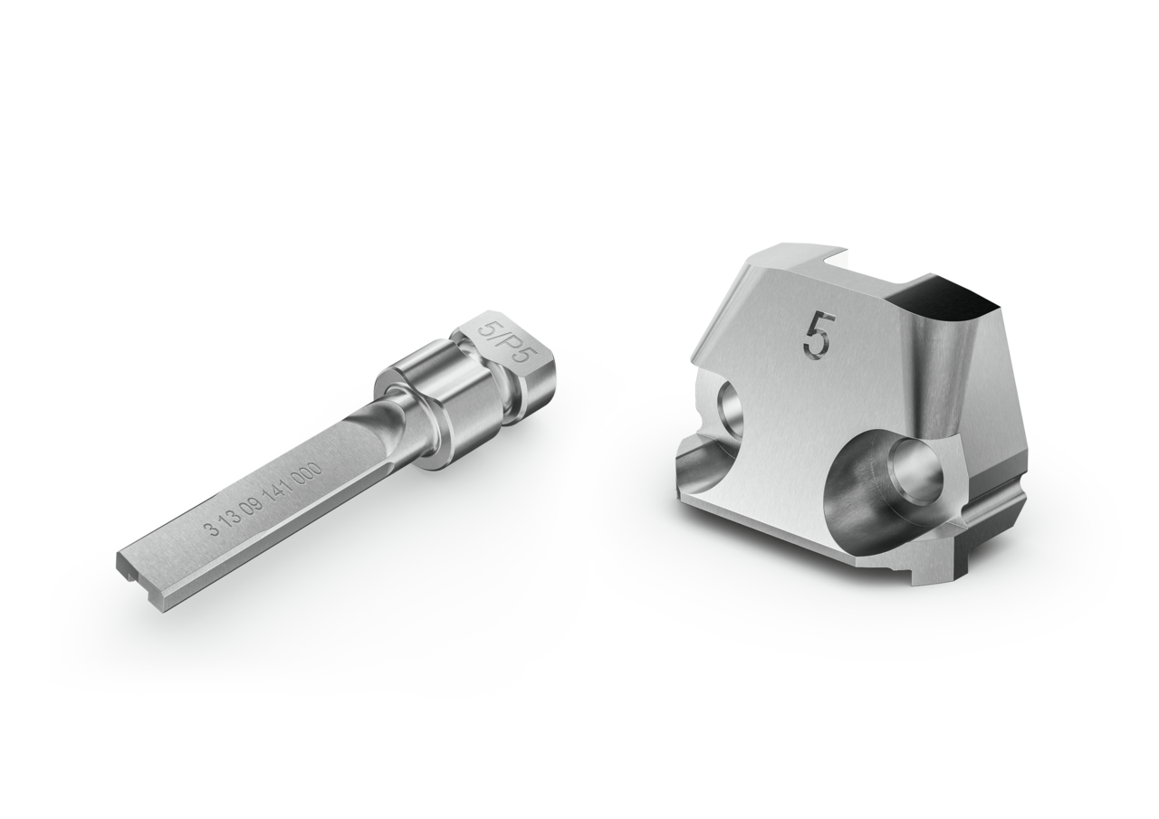 Meisti- ja matriisi sarjana