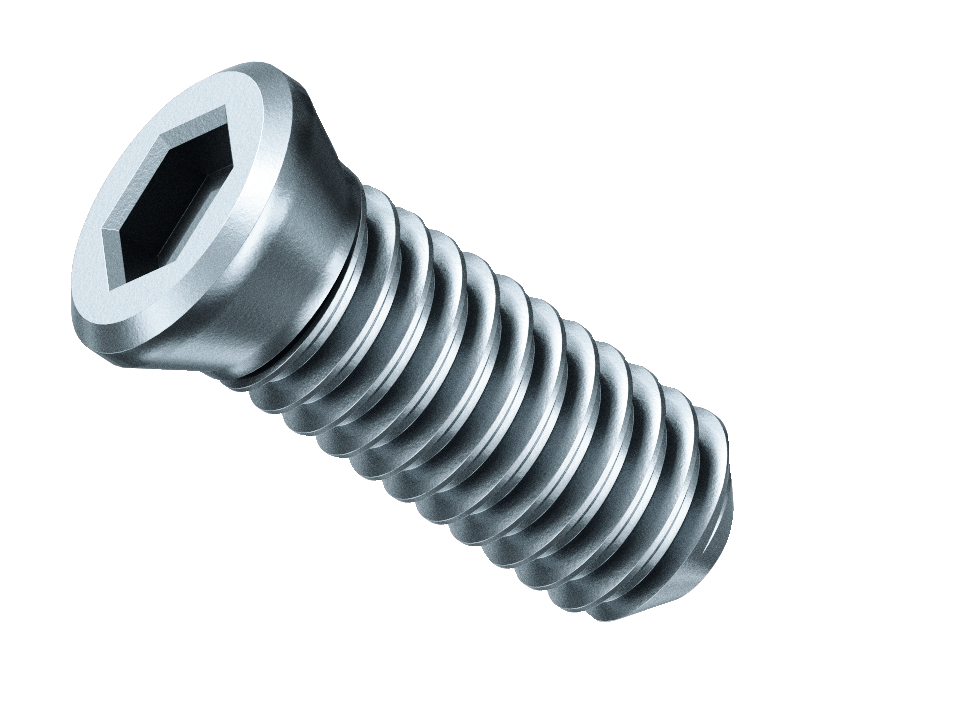 SX clamping screw